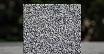 景德镇 芝麻黑荔枝面