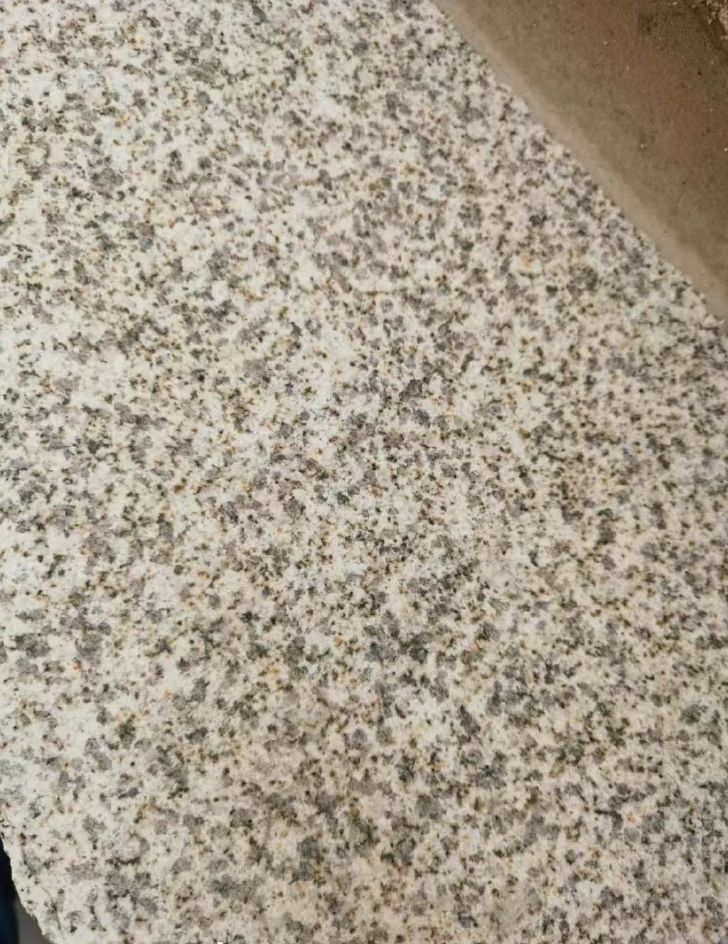 景德镇 黄金麻中黄光面