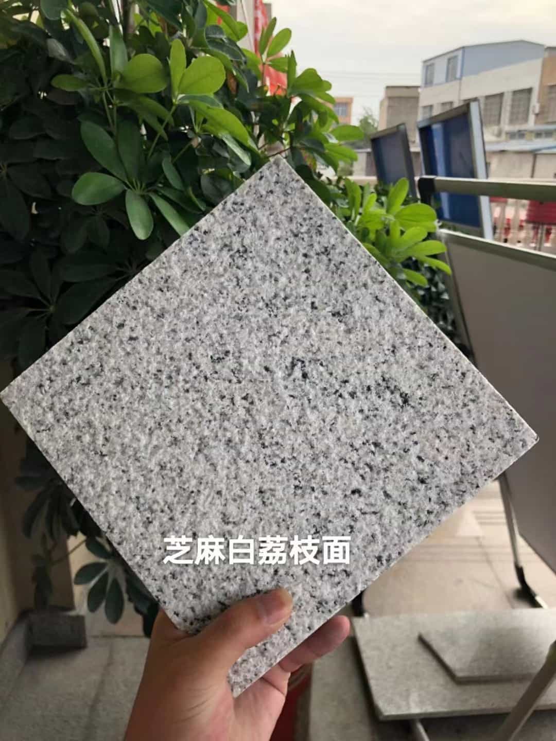 景德镇 芝麻白荔枝面干挂