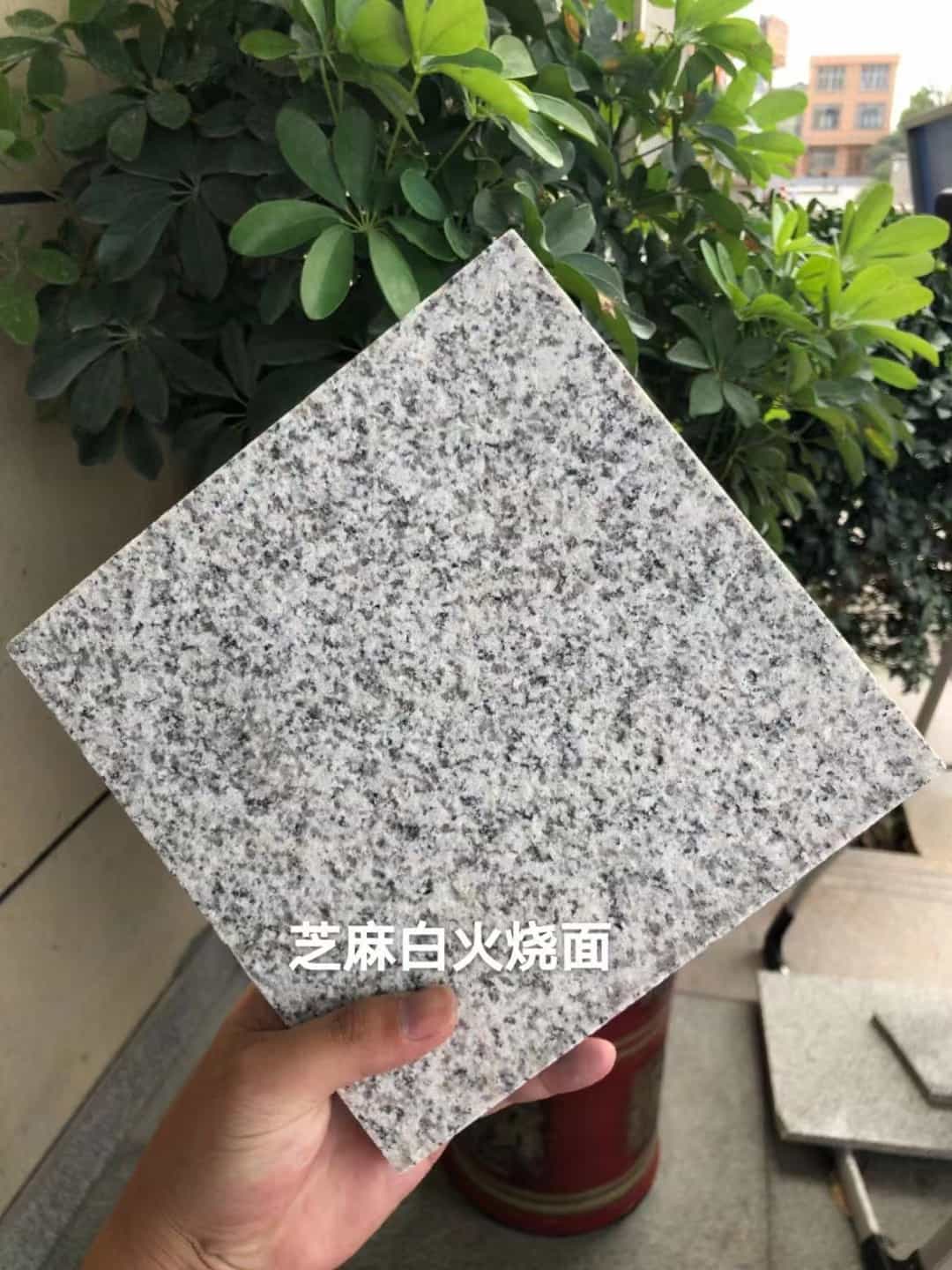 景德镇芝麻白火烧面地铺