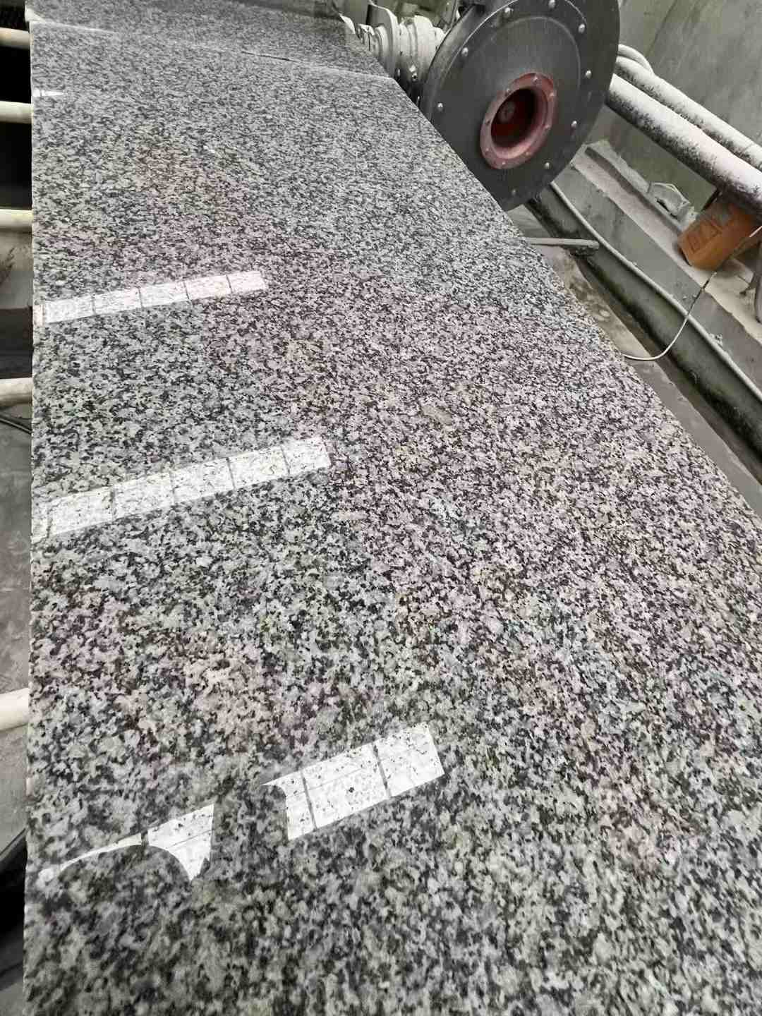 景德镇 芙蓉白光面