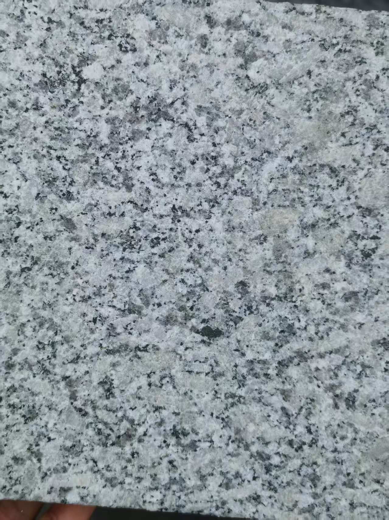 景德镇 芙蓉白火烧面